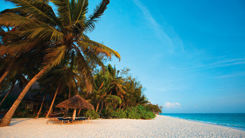 North Tanzania Safari 4 Nächte & 6 Nächte Badeaufenthalt auf Sansibar