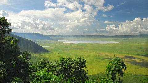 North Tanzania Safari 4 Nächte & 6 Nächte Badeaufenthalt auf Sansibar