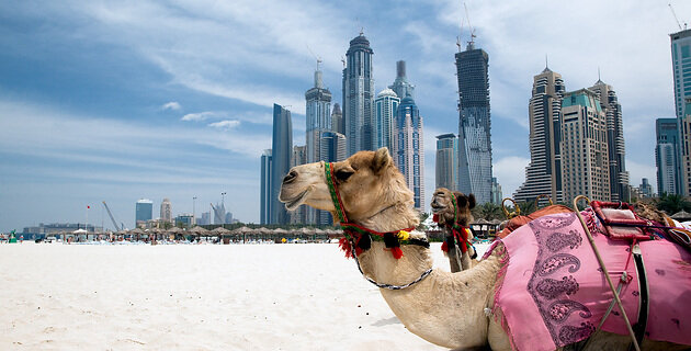 Urlaub direkt am Meer