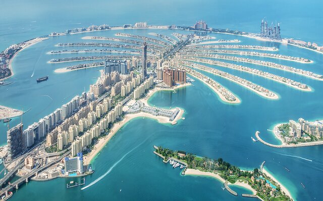 The View at The Palm