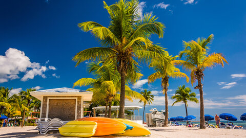 Busrundreise - Florida Sonnenschein