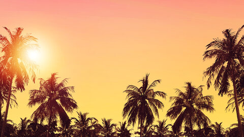 Mietwagenrundreise Erlebnis Florida