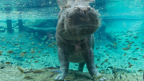 Mietwagenrundreise Florida Impresssionen