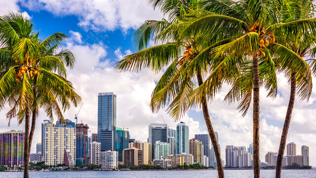 Mietwagenrundreise Florida Impresssionen