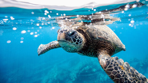 Mietwagenrundreise Exotisches Hawaii