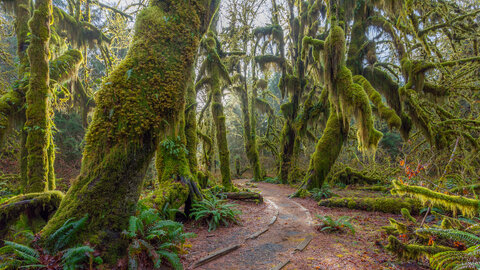Mietwagenrundreise Küsten Highlights des Westens