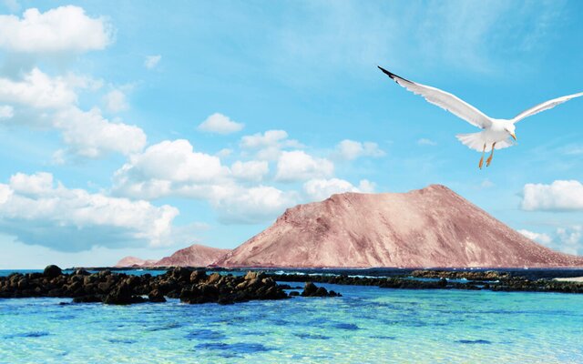 Entdecken Sie Spaniens Urlaubsinsel Fuerteventura