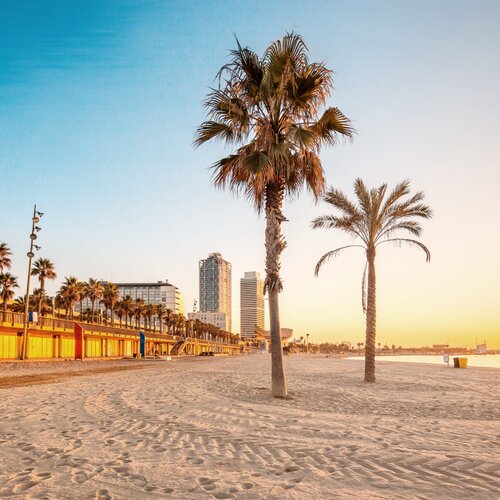 Entdecken Sie weitere beliebte Städtetrips