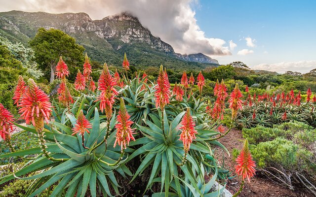 Südafrika: Wanderungen und Städtetrubel