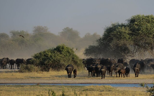 Botswana mit Victoria Falls