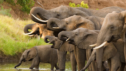 11 Nächte Höhepunkte Botswana – Kleingruppe 