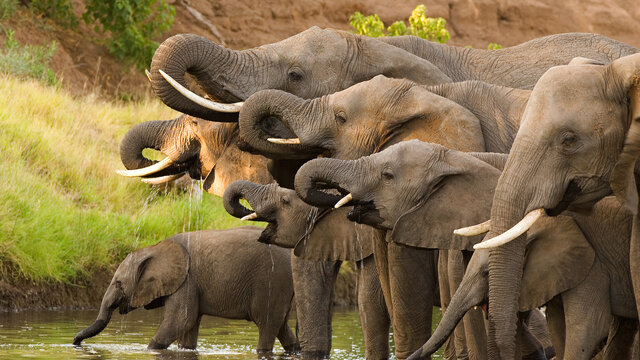 11 Nächte Höhepunkte Botswana – Kleingruppe 