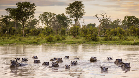 11 Nächte Höhepunkte Botswana – Kleingruppe 