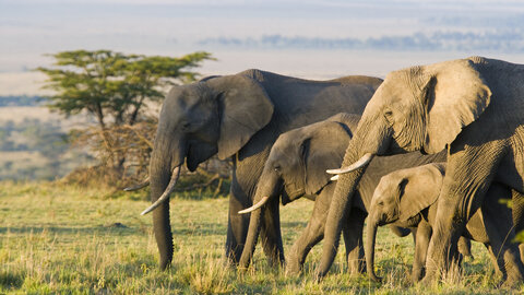 East African Explorer - Gruppenreise
