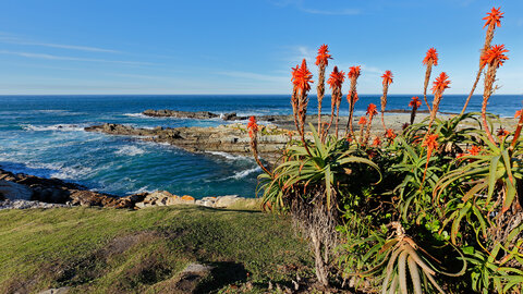 11 Nächte Garden Route - Selbstfahrer Rundreise