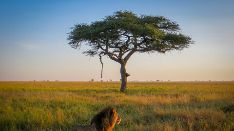 East African Explorer - Gruppenreise