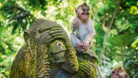 Java & Bali mit Badeverlängerung