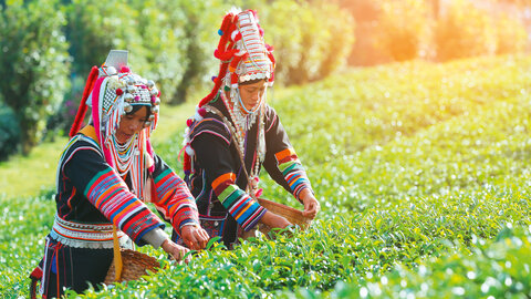 Exotisches Nordthailand