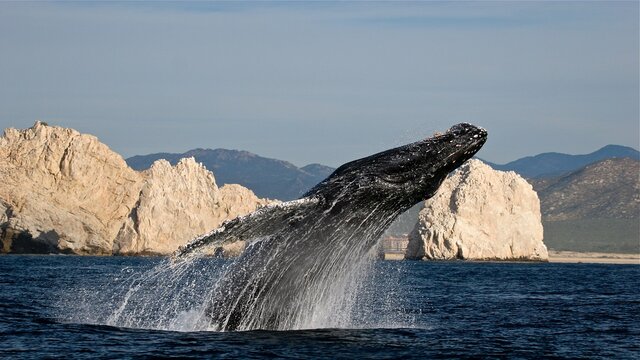 Baja California 2026