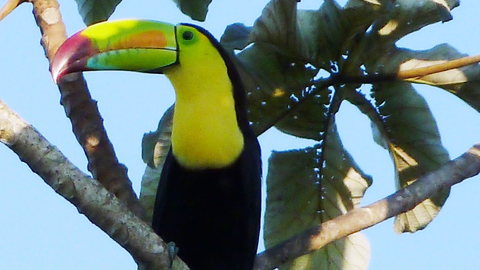 Höhepunkte Belize