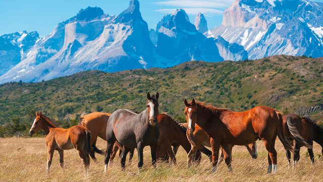 Natur und Kultur Chile 