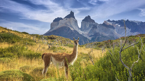 Natur und Kultur Chile 