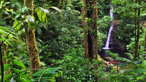 Costa Rica & Panama - Entlang der Karibik