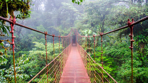 Mietwagentour Costa Rica aktiv