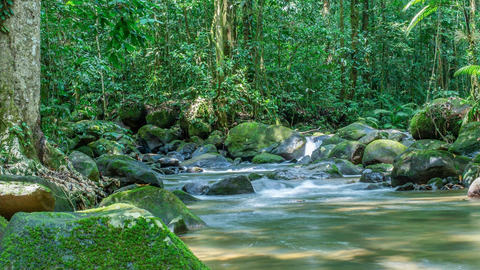Costa Rica - Pazifiktour 