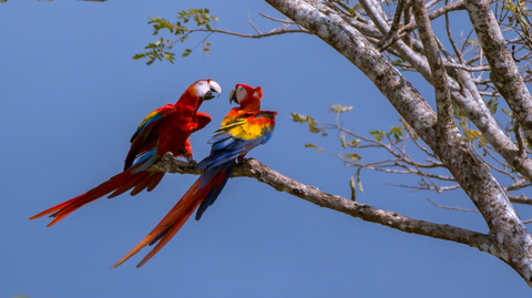 Costa Rica - Pazifiktour 