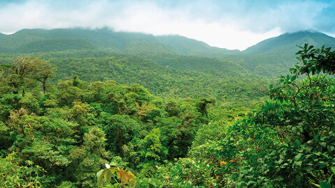 Höhepunkte Costa Rica 