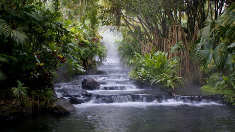 Höhepunkte Costa Rica 