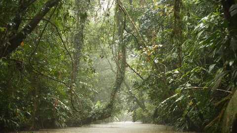 Höhepunkte Costa Rica 