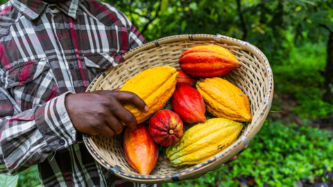 Höhepunkte Costa Rica 