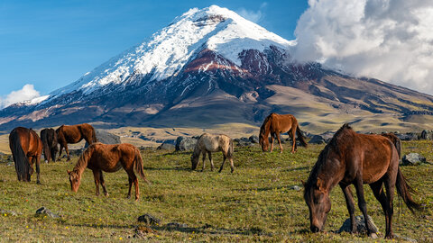 Abenteuer Ecuador