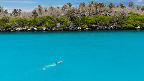 Galapagos Inselhüpfen - San Cristobal & Santa Cruz