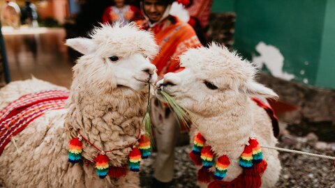 Faszination Südamerika