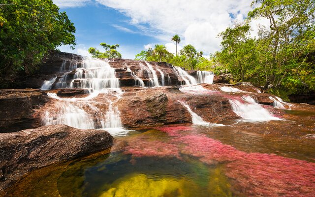 Kolumbien mit Cano Cristales