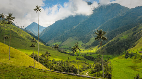 Einzigartiges Kolumbien