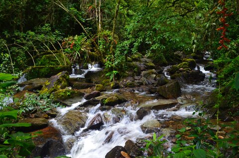 Einzigartiges Kolumbien