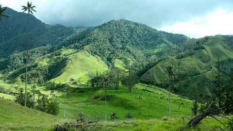 Höhepunkte Kolumbiens