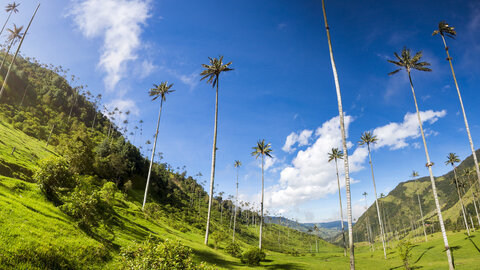 Höhepunkte Kolumbiens