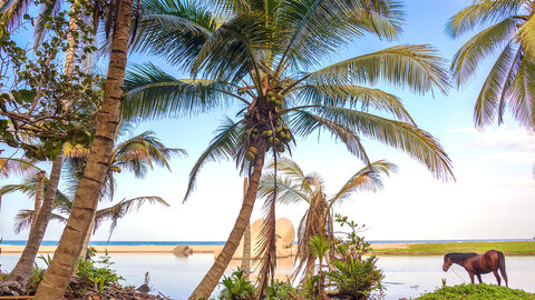 KOLUMBIEN Caño Cristales – einzigartiger Regenbogenfluss 