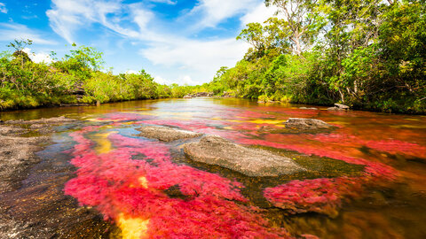 KOLUMBIEN Caño Cristales – einzigartiger Regenbogenfluss 