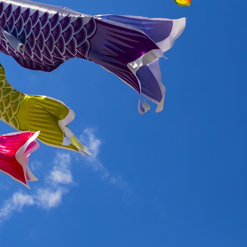 Zubucher-Reisen: Flexible Studienreisen zu fixen Terminen