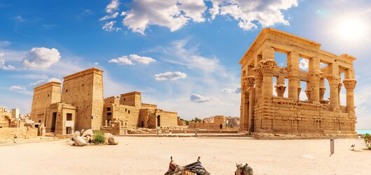 Kulturreisen & Studienreisen