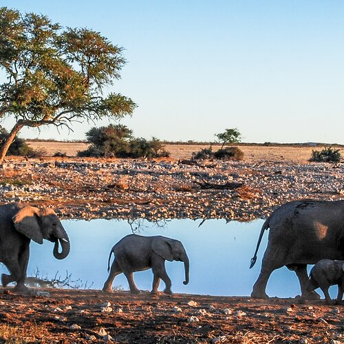 Afrika erleben: Auf den Spuren von Natur, Kultur und Abenteuer