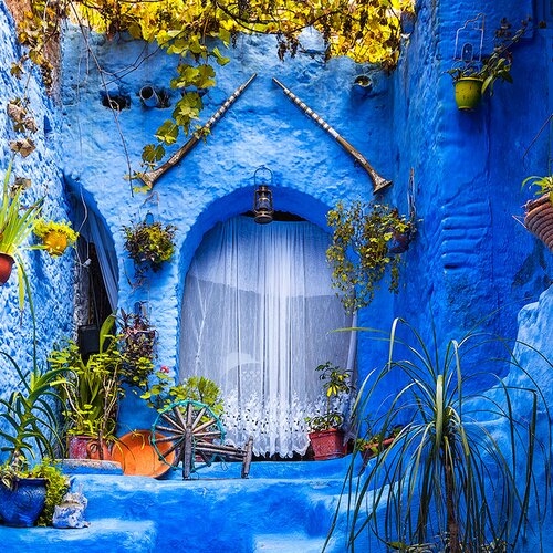 Unsere Reiseleiter: Wissen, Leidenschaft und Expertise