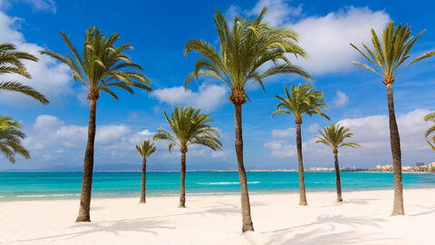 Sant Jordi Hotel ab/bis Linz oder Graz