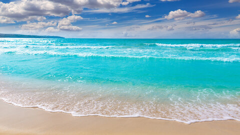 Venecia Paguera Hotel ab/bis Graz oder Wien | © Shutterstock